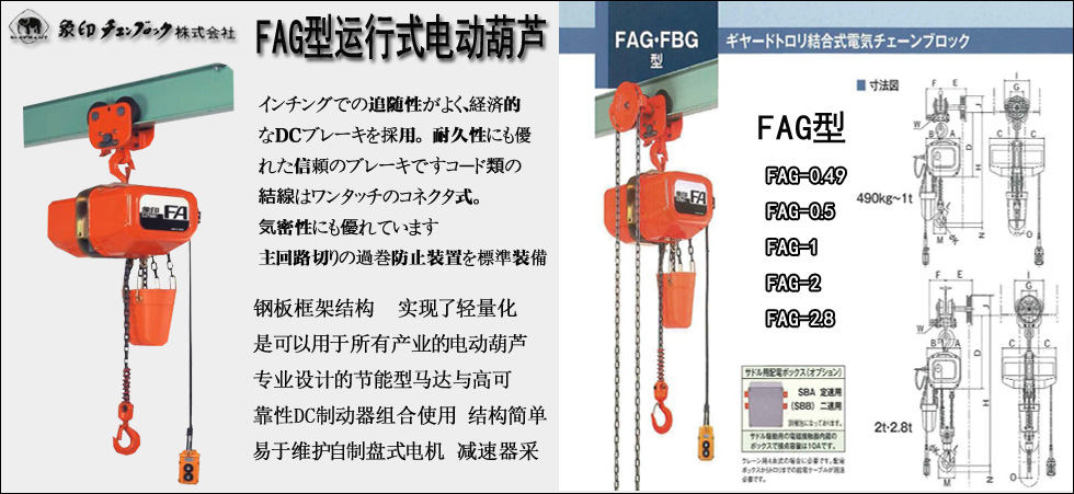FAG型運(yùn)行式電動葫蘆