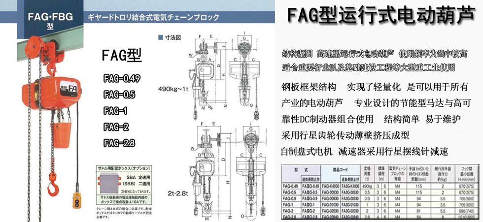 FAG型運(yùn)行式電動葫蘆